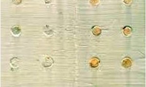 PAINT DOCTOR Nailhead Rusting Rust Stain Remover and Prevention Primer, Designed for Metal and Wood Surfaces with Excellent Adhesion, Fast Drying, and Durability to Prevent Nailhead Rust Marks Both Indoors and Outdoors